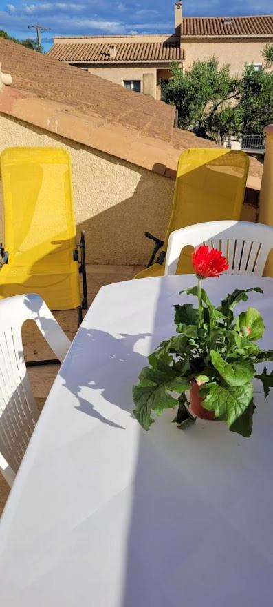 Appartement Agreable Et Spacieux Ensoleille Valros Екстер'єр фото